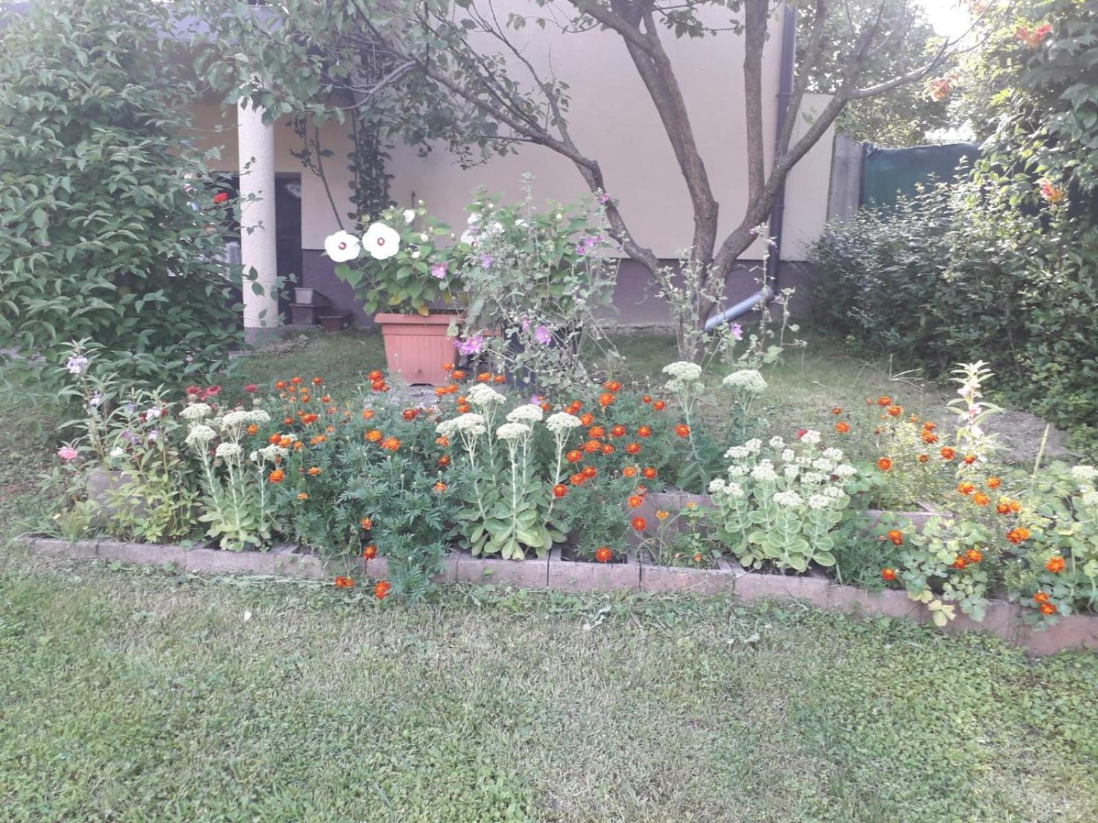 JesenovecKuca Za Odmor Bajtica别墅 外观 照片
